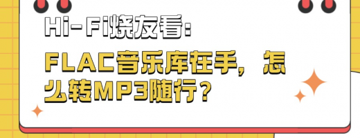 Hi-Fi烧友必看：FLAC音乐库在手，怎么转MP3随行？