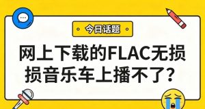 网上下载的FLAC无损音乐车上播不了？一键转MP3，秒变车载通用格式！