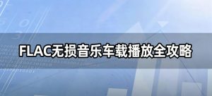 FLAC无损音乐车载播放全攻略：格式兼容+无损转换+U盘制作