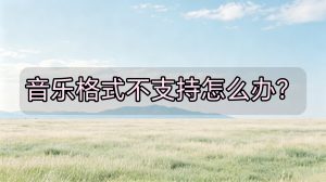 音乐格式不支持怎么办？歌曲转MP3简单教程，音箱/车载都能播