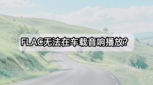FLAC格式无法在车载音响播放？批量转MP3！附参数设置指南