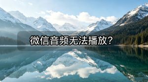 微信音频无法播放？一键转换为通用MP3格式